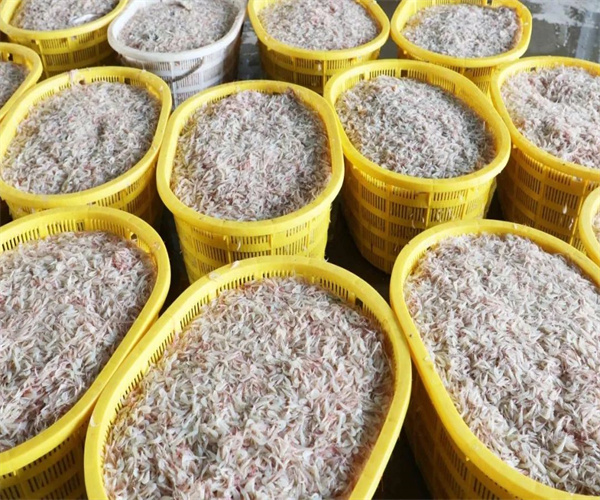 ëϺȸʯ̼ ëϺؽȾⵥλ