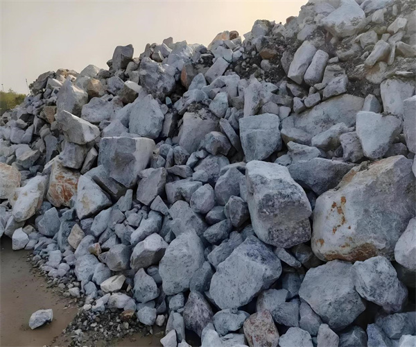 污泥元素成分分析 污泥氨氮含量检测去哪做